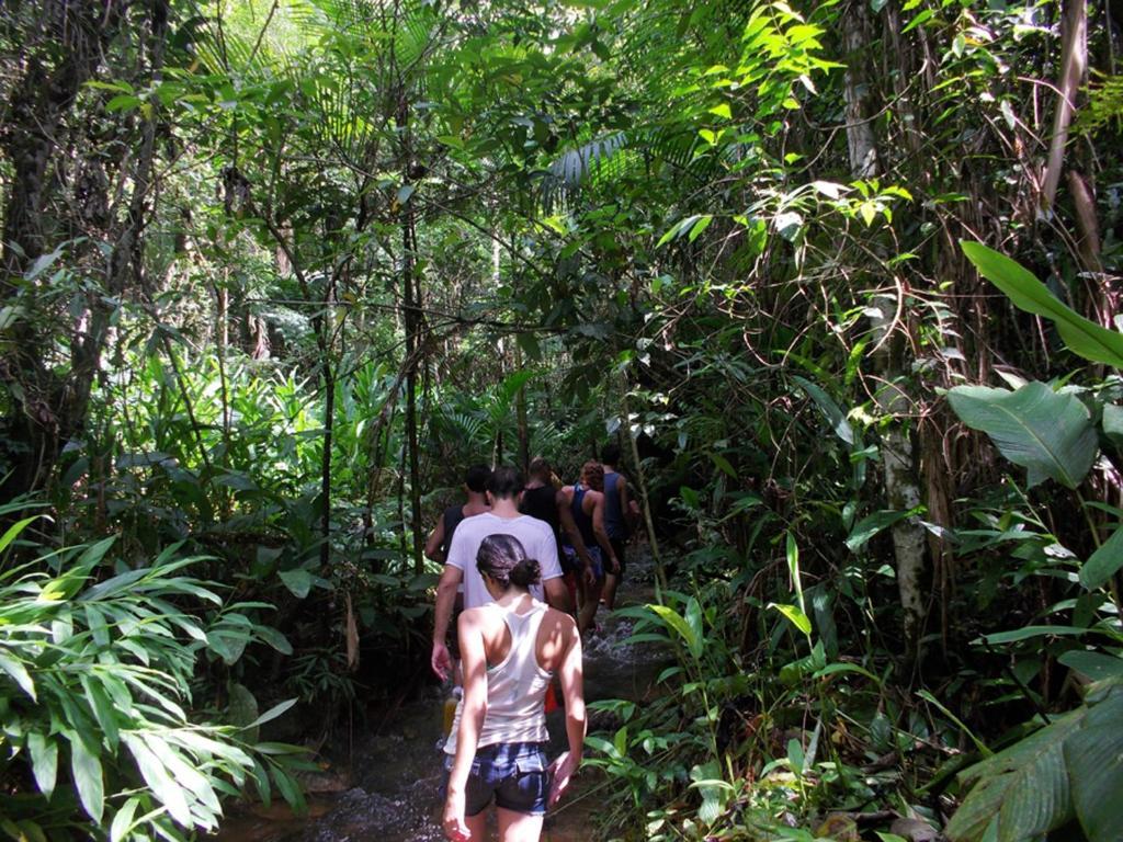 Hotel Fazenda Selva Do Mato Limpo Rio Preto  Luaran gambar